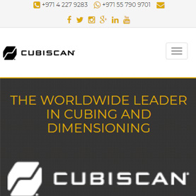 CubiScan